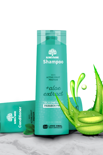 Shampoo 