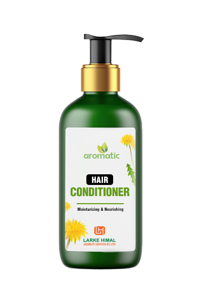Conditioner 